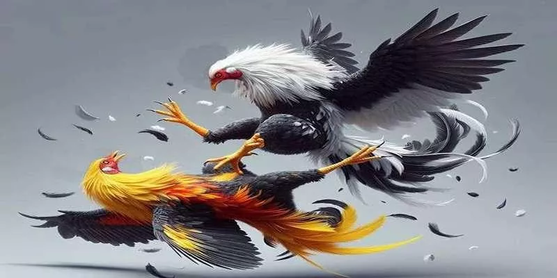 Các yếu tố quyết định thành công của Đá gà CPC tại VIN88